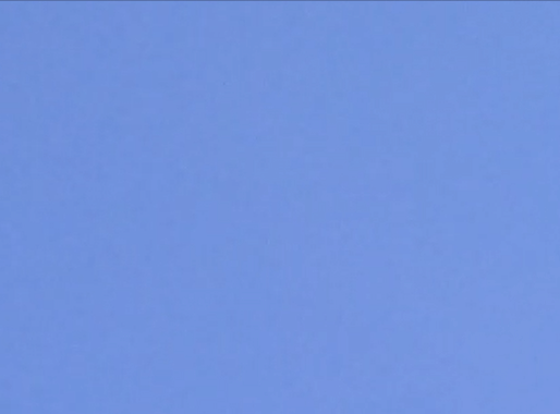 owl1.gif